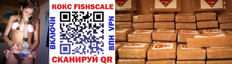 купить закладку  Самара  COCAIN FishScale 