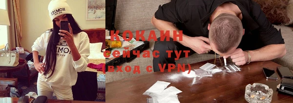 индика Богородск