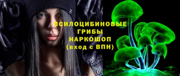стафф Богородицк