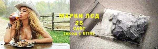 индика Богородск