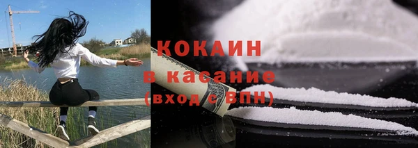 индика Богородск