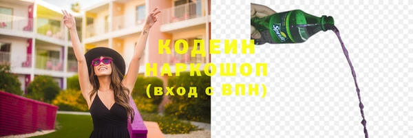 индика Богородск