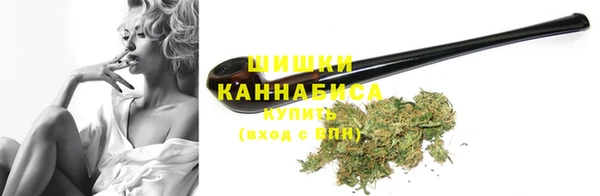 индика Богородск