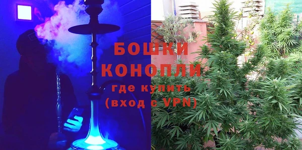 индика Богородск