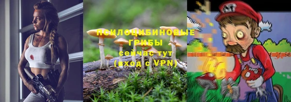 индика Богородск