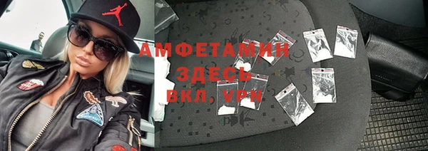 индика Богородск