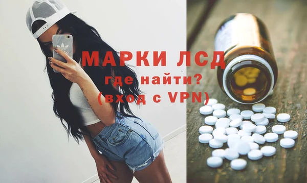 индика Богородск