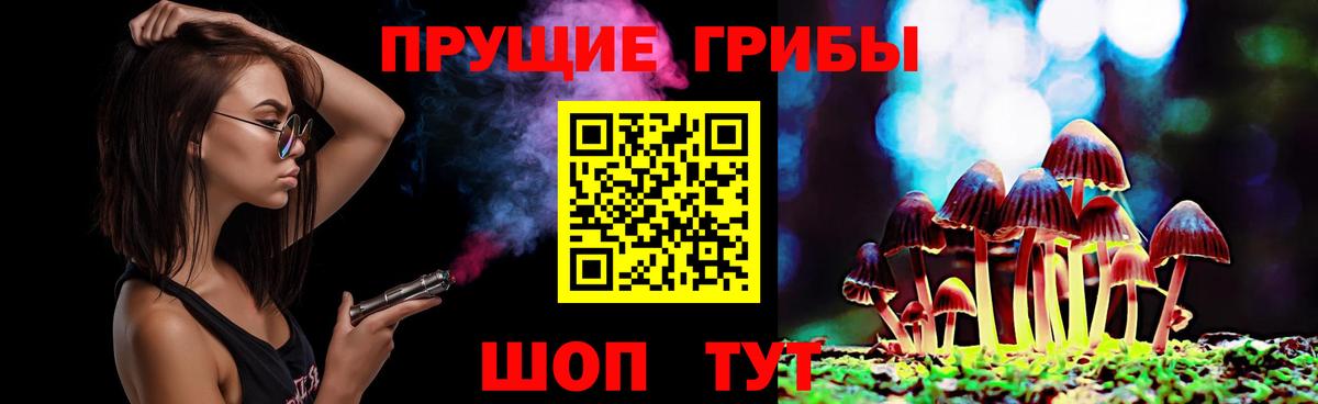 закладка  Вход с VPN  Псилоцибиновые грибы MAGIC MUSHROOMS  Самара  Галлюциногенные грибы мухоморы 